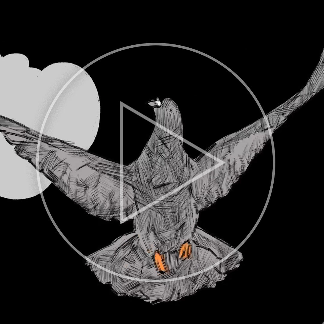 Aesop Rock Drops "Pigeonometry" Video Short + Merch Capsule
