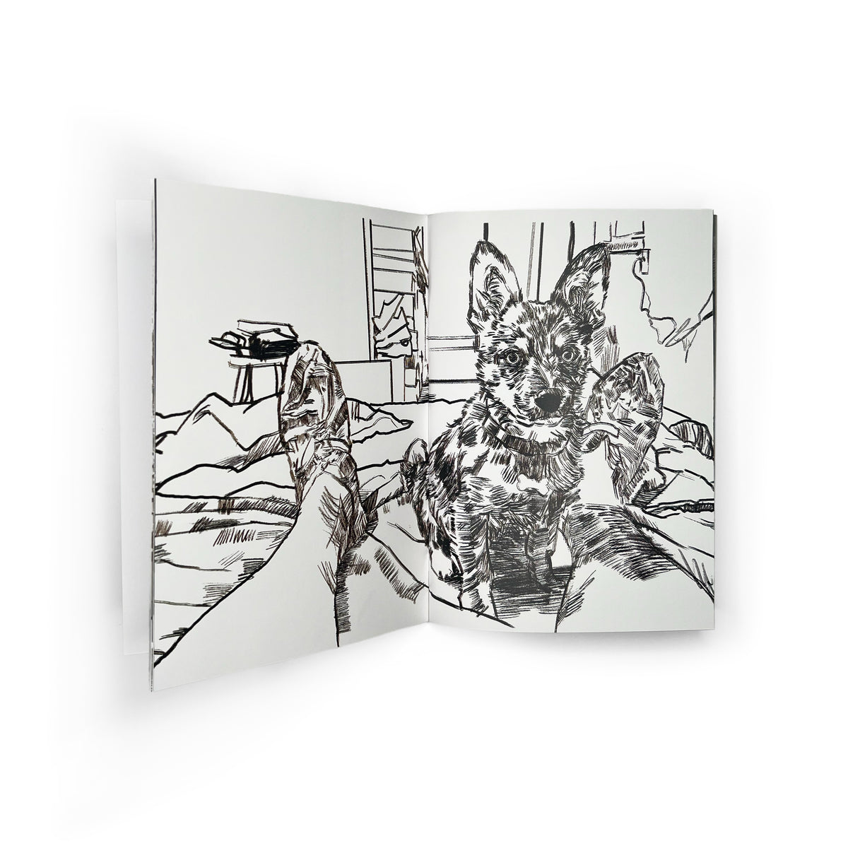 Aesop Rock - The Infinity Crystal Zine