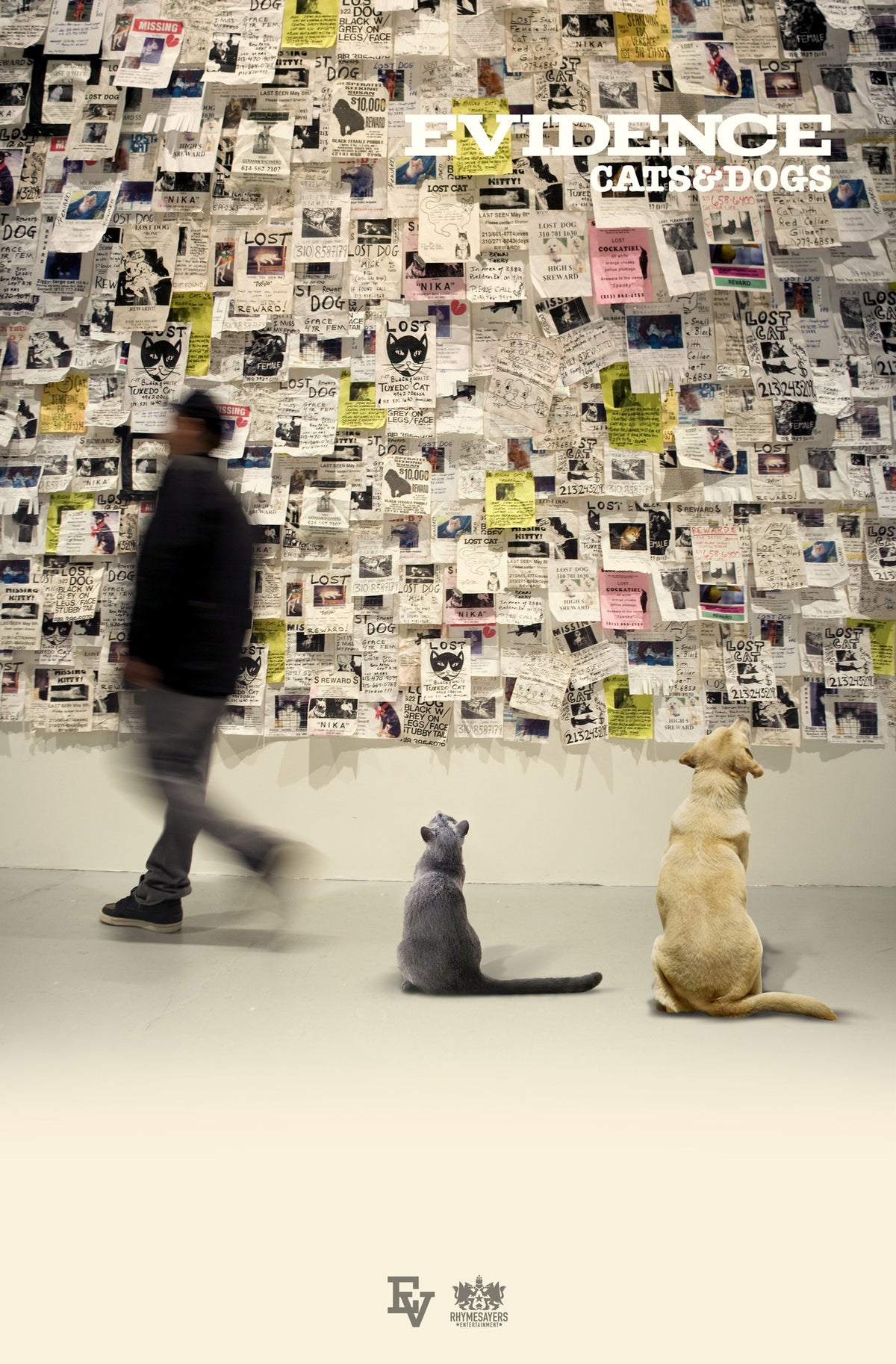 Evidence - Cats & Dogs Poster